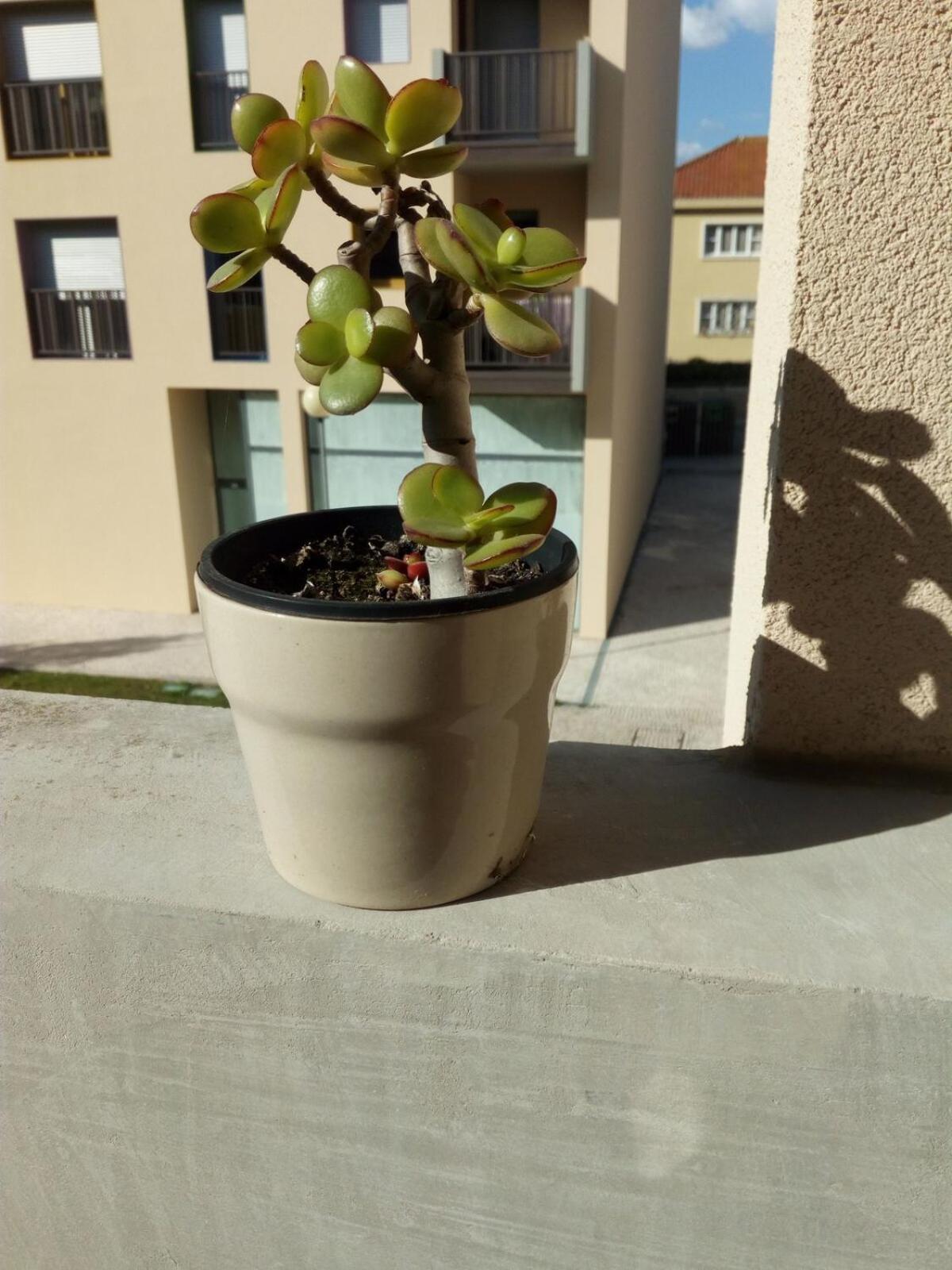 Alojamento Calypso Povoa de Varzim Exterior photo